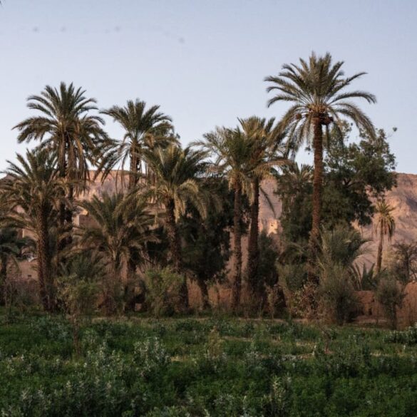 Weddings and Honeymoons at Osun Kasbah
