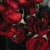red roses