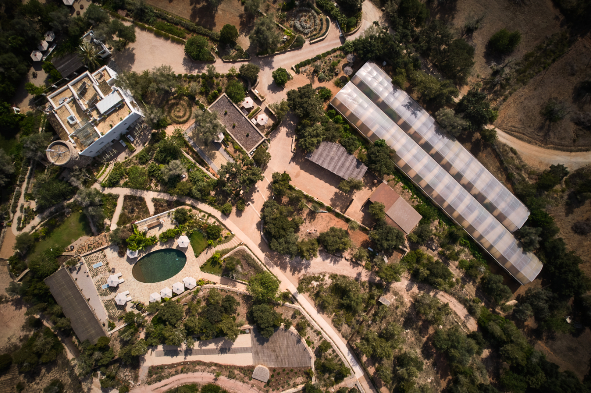 Natasha Barbato and the Art of Curated Destination Weddings