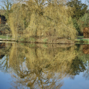 Where Heritage Meets Romance: 20 Years at The Barns at Delbury Hall