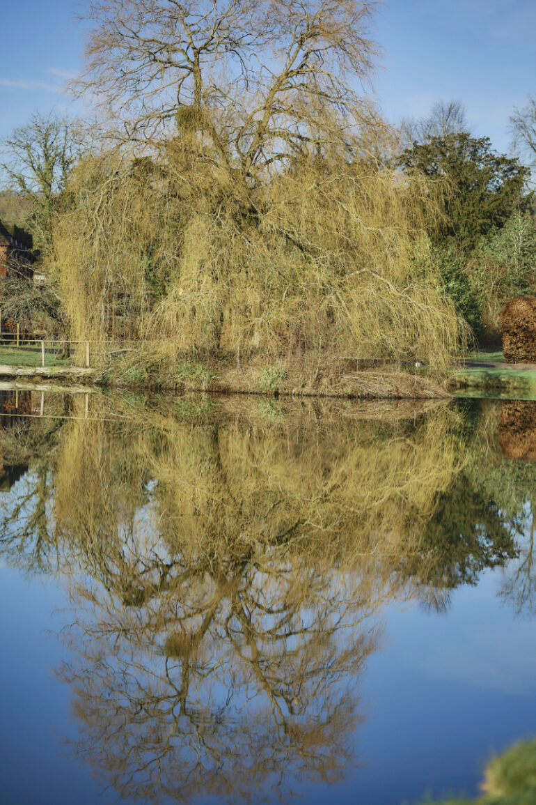Where Heritage Meets Romance: 20 Years at The Barns at Delbury Hall