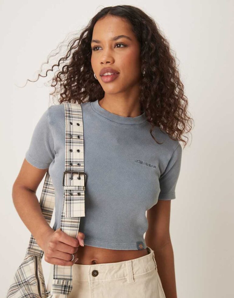 Dickies plentywood baby tee in washed blue