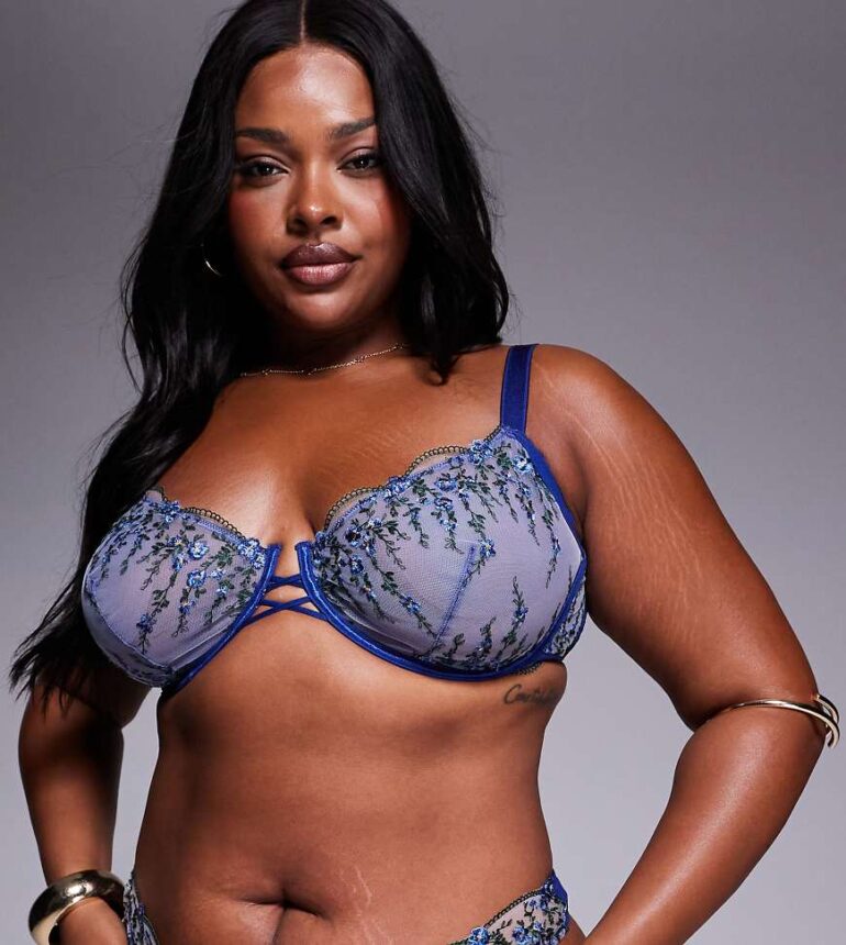 ASOS DESIGN Curve Noa premium embroidery underwired bra in navy floral-Blue