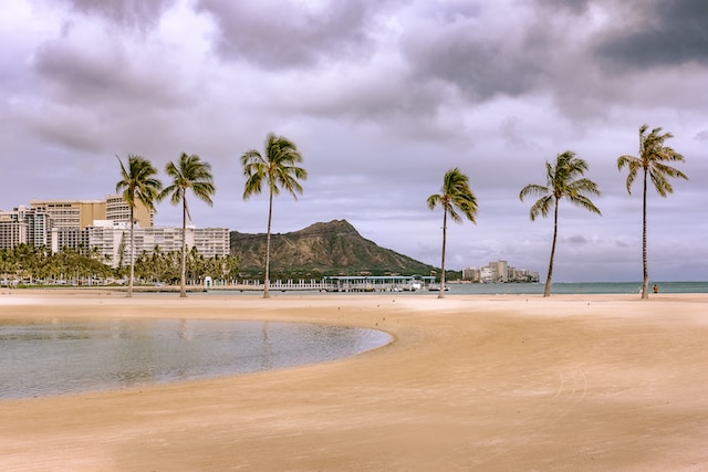 Photo by Amanda Phung on Unsplash