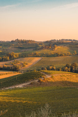 Tuscany