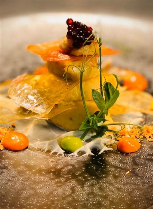 Add a Image to your dining page side bar