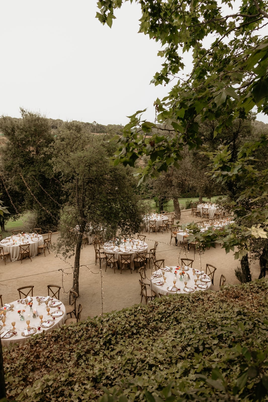 Add a Image to your dining page side bar