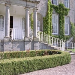 Cortes House