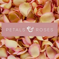 Petals & Roses