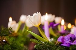 Fiori Amore Fantasia