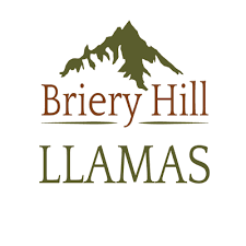 Briery Hill House