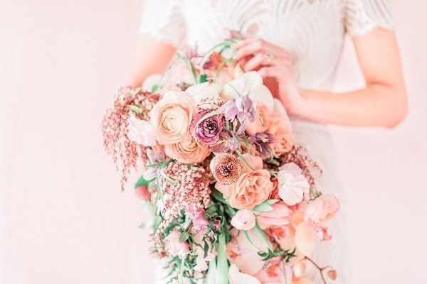 Flowers & Plants Co