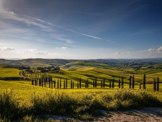 Scenic landscape featuring lush green hills and cypress trees.