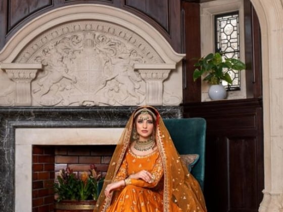 An elegantly dressed woman poses indoors with historical decor.