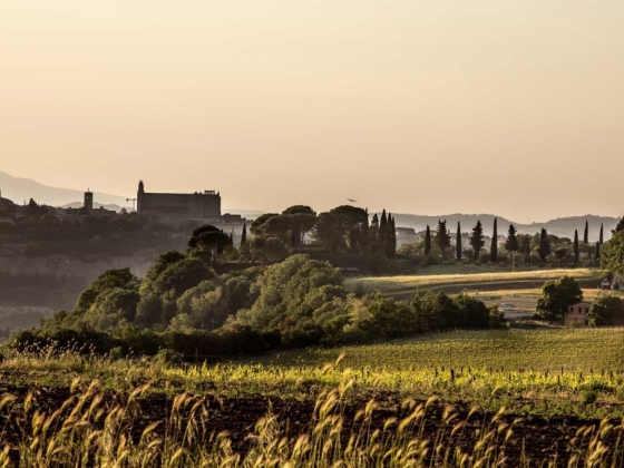 Torre Collevento