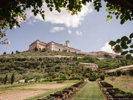 Borgo Antichi Orti Assisi
