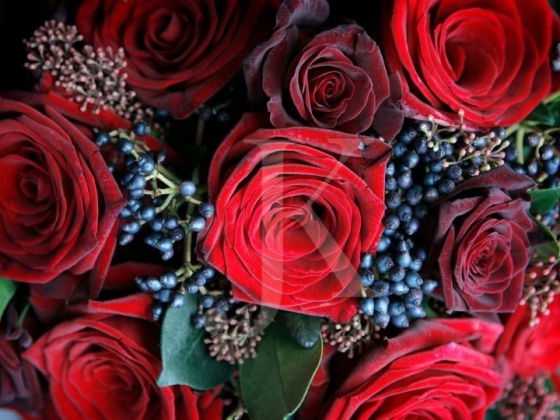 Jacqueline Kennedy Luxury Weddings and Events Limited