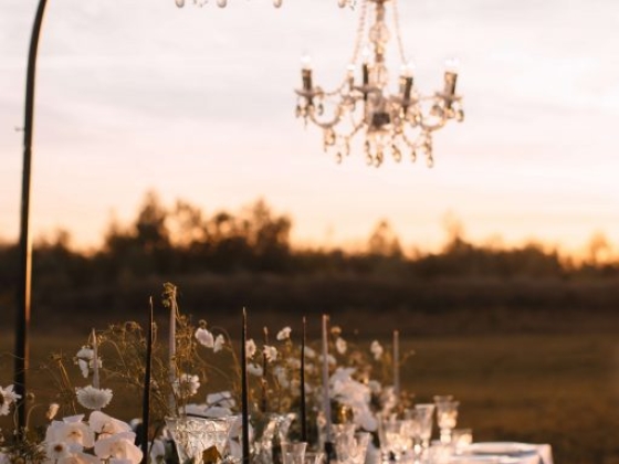 Roberta Burcheri Events