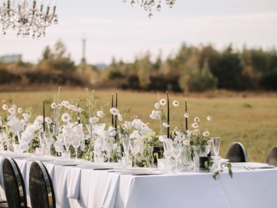 Roberta Burcheri Events