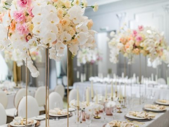 Roberta Burcheri Events