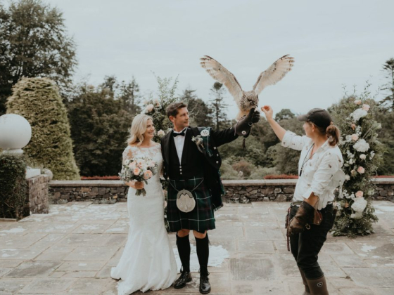 Conifer Events