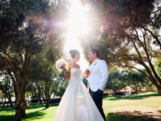 A couple in wedding attire under sunlight among trees.