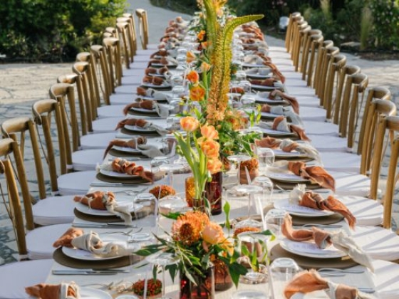 A beautifully arranged long dining table in a garden.