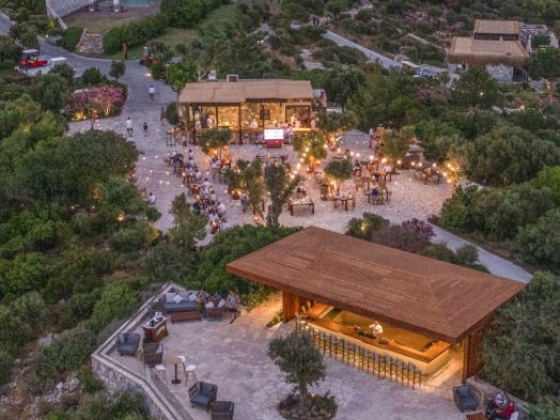 Evening scene of a restaurant and bar area surrounded by greenery