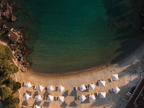 Tranquil beach scene with sunbeds and clear water.