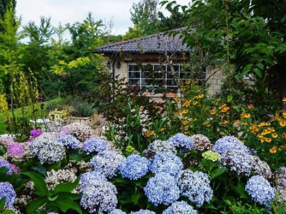 Casa Lavanda