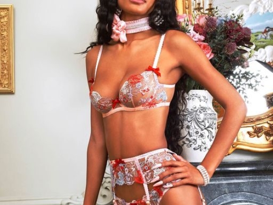 Agent Provocateur