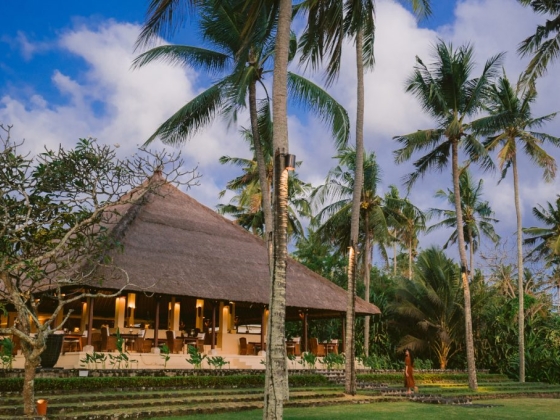 Alila Manggis