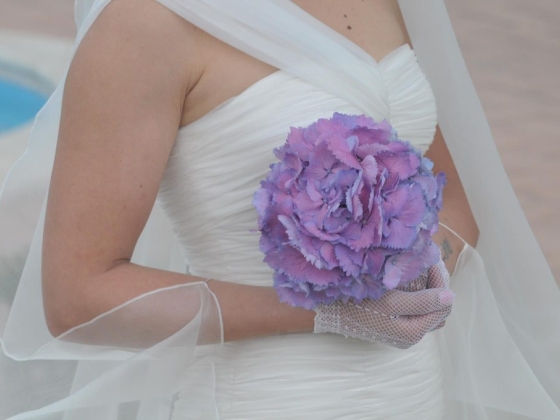 Fiori Amore Fantasia