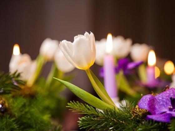 Fiori Amore Fantasia