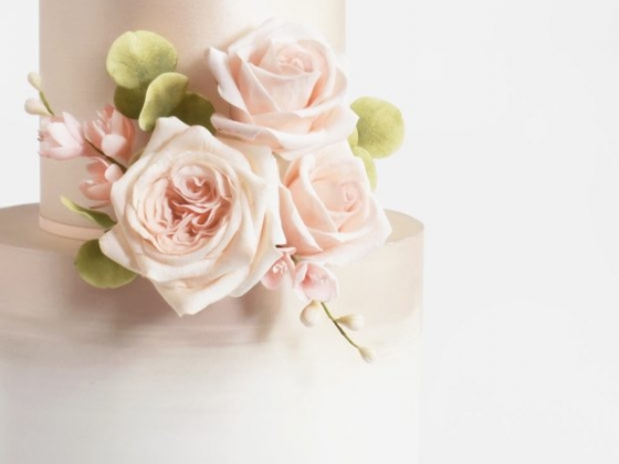 Deluce Cakes