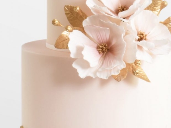 Deluce Cakes