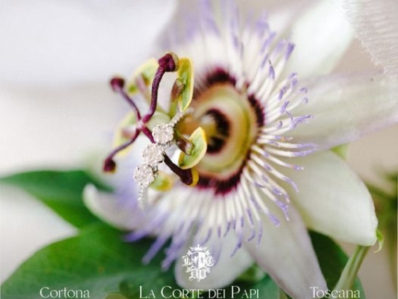 La Corte Dei Papi Relais Spa & Restaurant