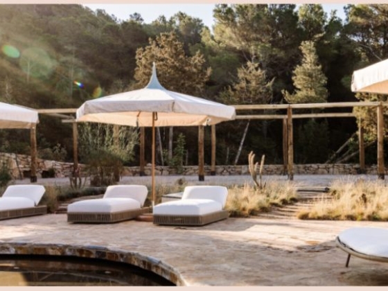 Serene poolside with lounge chairs and nature backdrop.