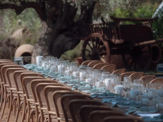 Elegant long table set for an outdoor meal.