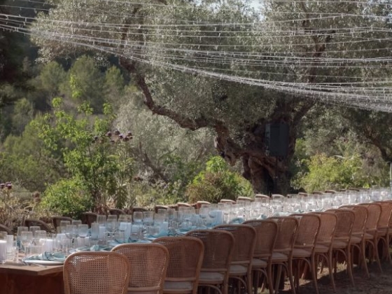 A beautifully arranged long table with chairs in a garden setting.