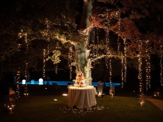 Wedding Music and Lights