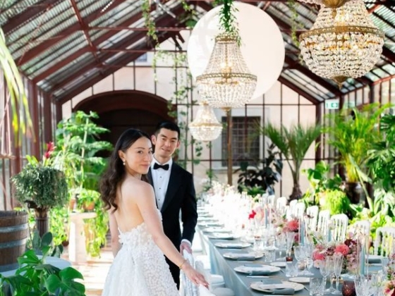 Wedding Music and Lights