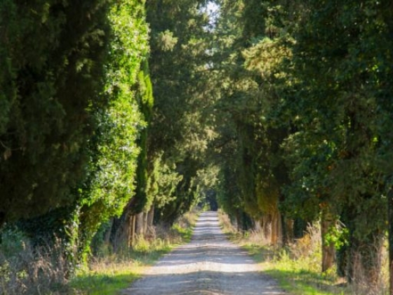 Borgo di Recenza