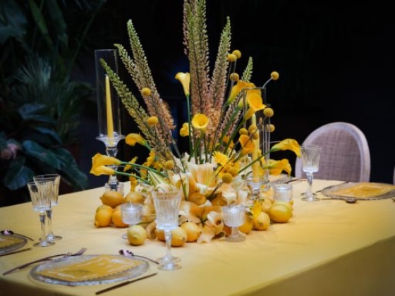 Panta Rhei Wedding