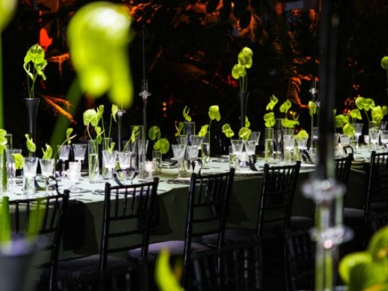 Panta Rhei Wedding