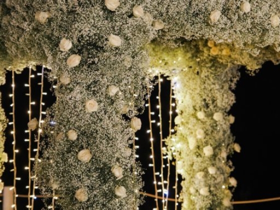 Panta Rhei Wedding