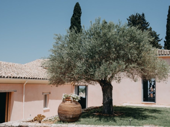The Courti Estate