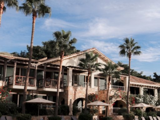A serene resort with palm trees and a reflective pool.