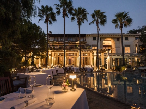 Charming setting with tables, palm trees, and warm lights.