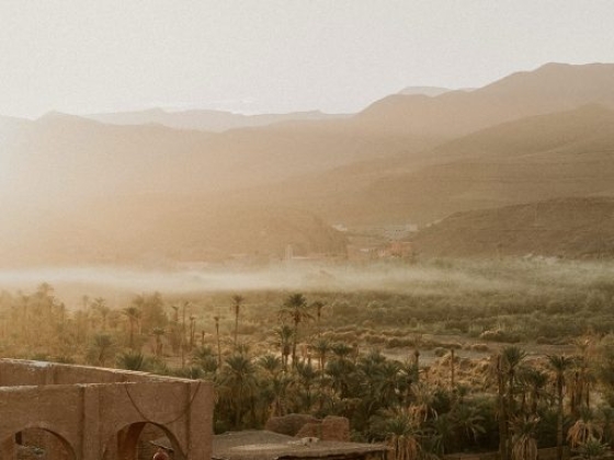 Scenic view of palms with mountains at sunrise